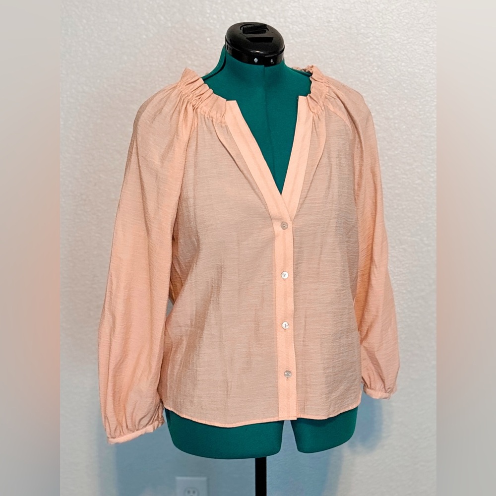 Zara Light Blush Pink Sheer Long Sleeve Blouse with Button Detail